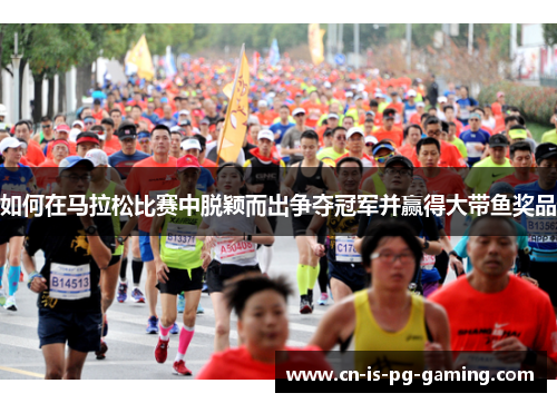 如何在马拉松比赛中脱颖而出争夺冠军并赢得大带鱼奖品