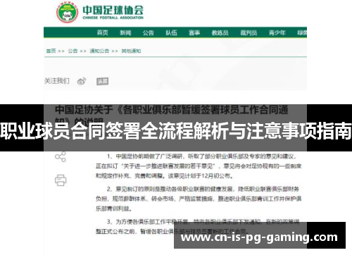 职业球员合同签署全流程解析与注意事项指南