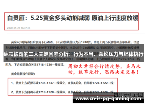 魏震被罚的三大关键因素分析：行为不当、舆论压力与纪律执行
