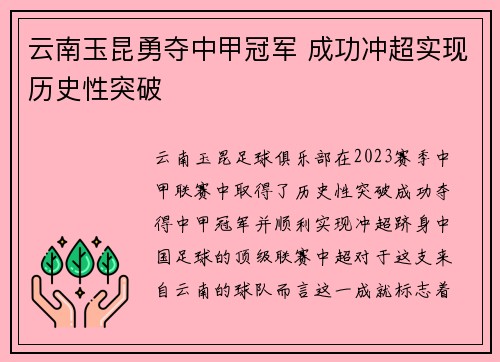 云南玉昆勇夺中甲冠军 成功冲超实现历史性突破