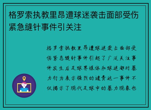 格罗索执教里昂遭球迷袭击面部受伤紧急缝针事件引关注